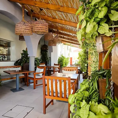 Mikes Kanarium 3* Larnaca