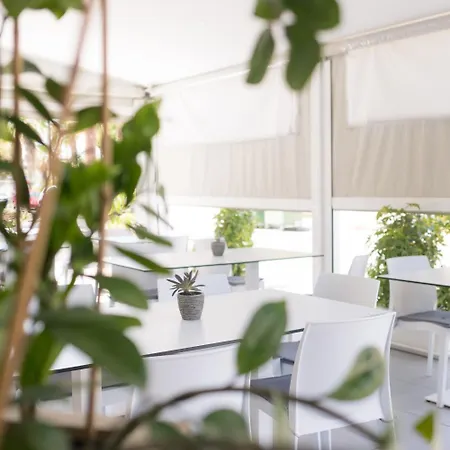 Mikes Kanarium 3* Larnaka