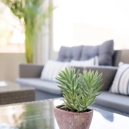 Mikes Kanarium Szálloda Lárnaka