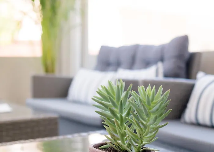 Mikes Kanarium מלון לרנקה