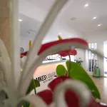 Mikes Kanarium Larnaca